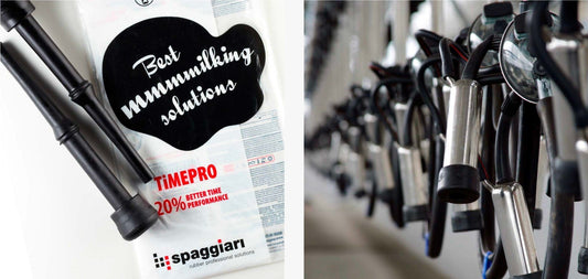 Pupu gumijas un šļūtenes no Itālijas uzņēmuma "Timepro"