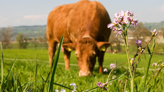 Sagatavo savu saimniecību siltajai sezonai!