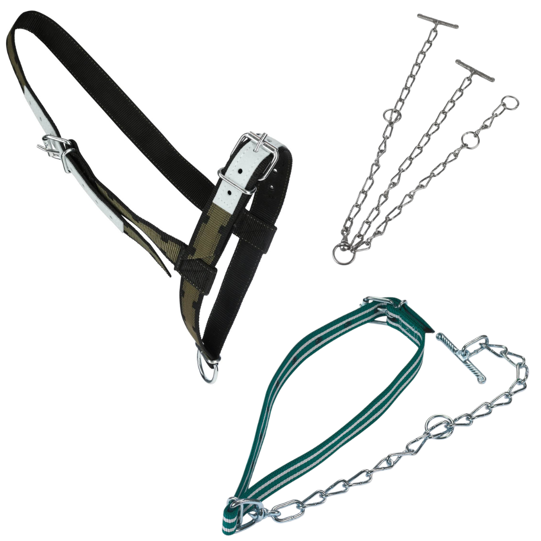 Cattle chains, straps and shoes