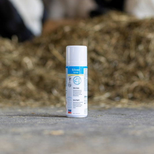 Ādas aizsardzības aerosols Silver Spray, 200 ml