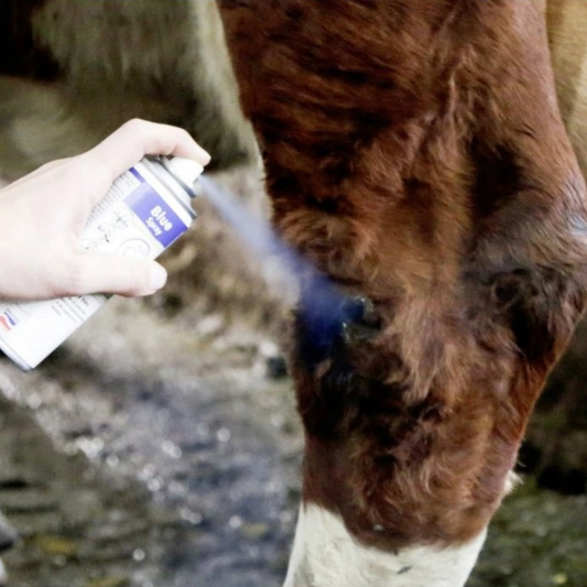 Ādas un nagu kopšanas aerosols Blue Spray, 400 ml