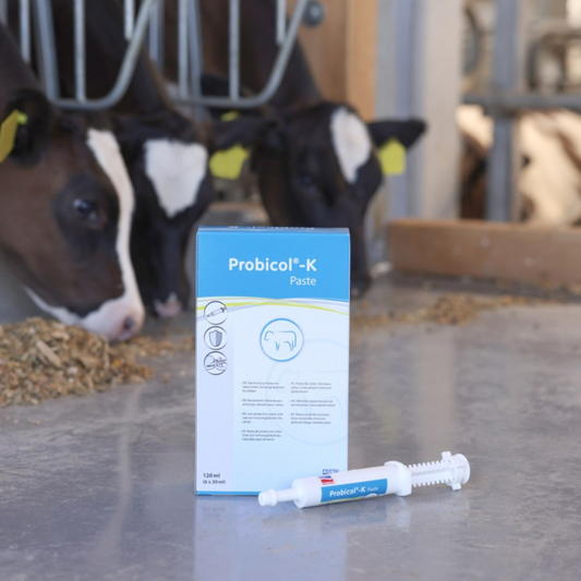 Imunitāti stiprinoša pasta Probicol-K, 20 ml