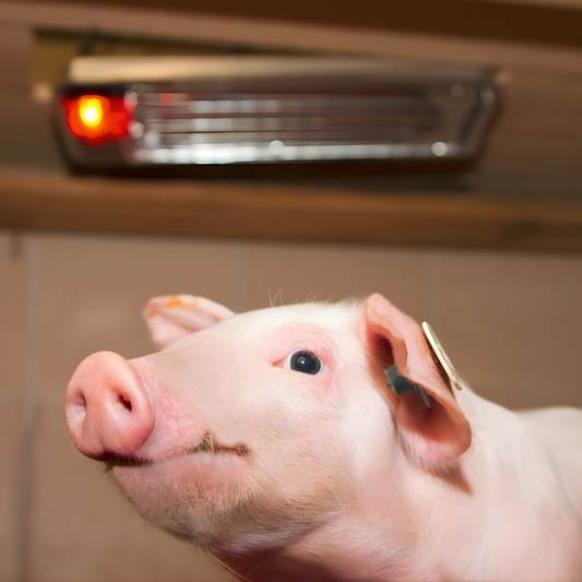 Infrasarkanais sildītājs SunnyBoy 150 W