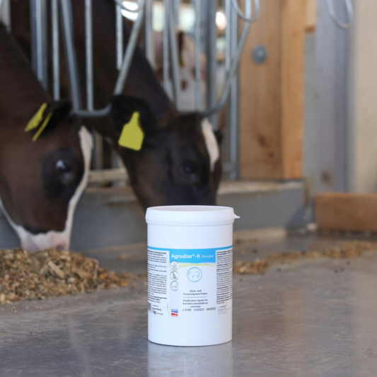 Linu un rauga pulveris Agrodiar-K, 1 kg