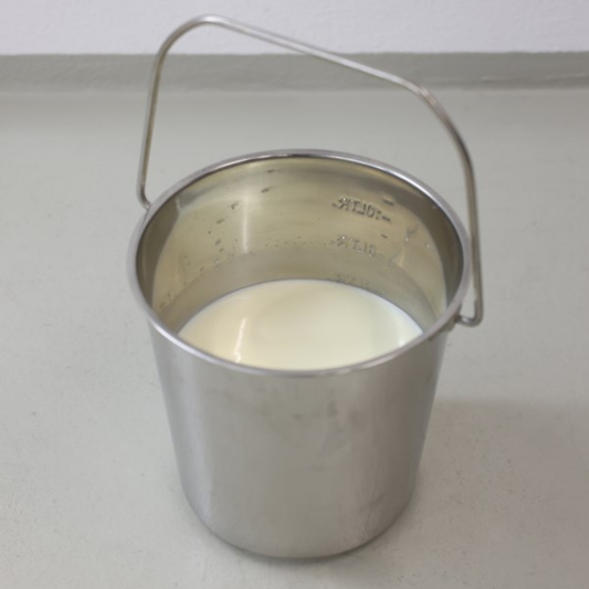 Nerūsējošā tērauda spainis (slaucene) ar mēriedaļām 12.3 L