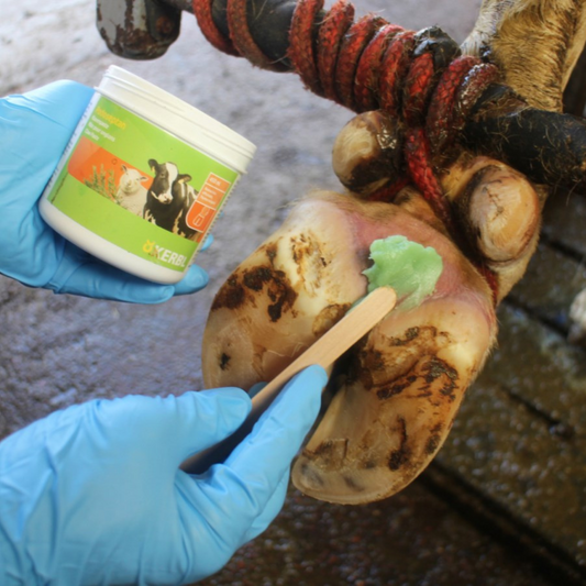 Pasta nagu kopšanai Podoseptan, 450 ml