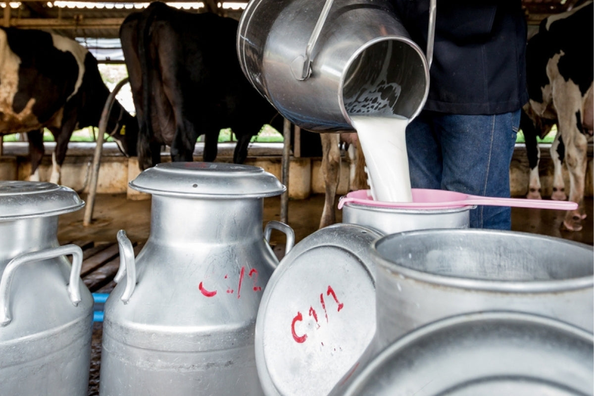 Saimniecības preces fermai