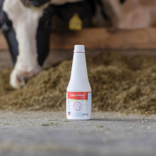 Šķīdums ar kalciju un fosforu Calz-o-Phos, 500 ml