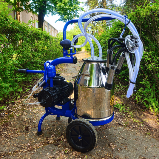 Slaukšanas agregāts ODSBO-1 (30N), 220V, eļļas vakuumsūknis