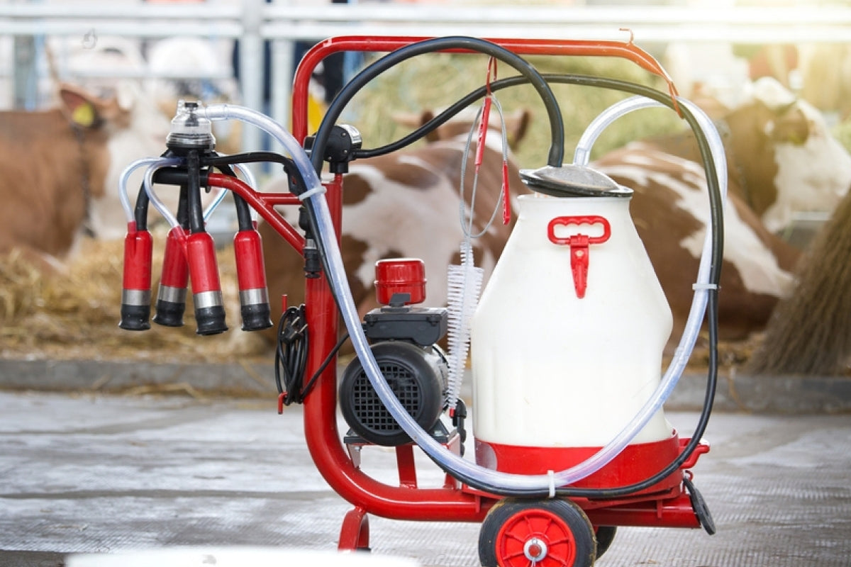 Slaukšanas iekārtas