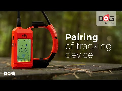 Tracking system with electronic collar DOG GPS X25B (Short version)