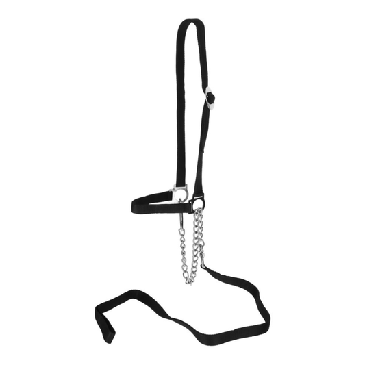 Apauši liellopiem ar integrētu pavadu un āķi, neilona