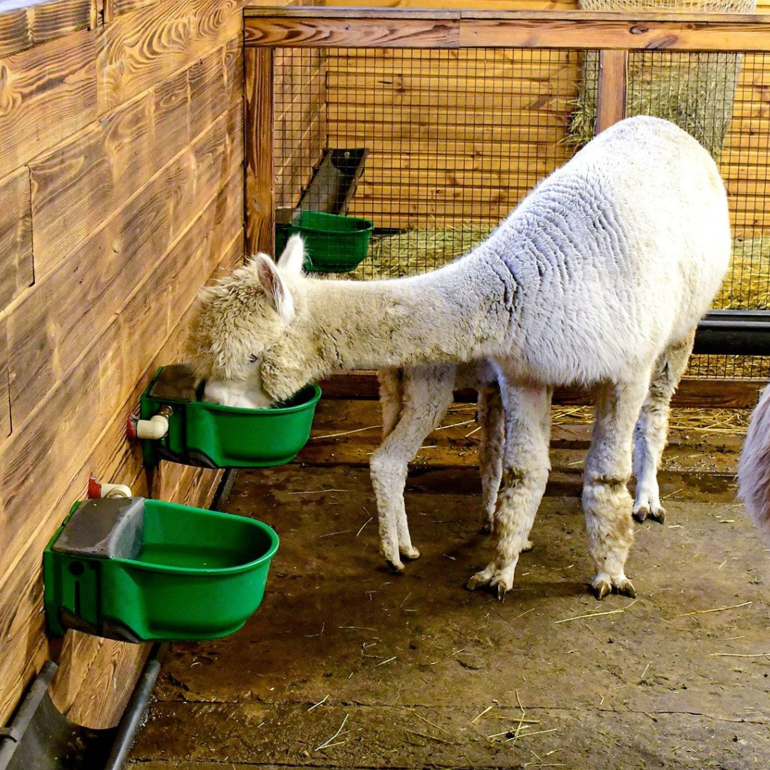 Apsildāma dzirdne SH30-230-RH, 230 V, 73 W, ar cauruļu sildīšanas funkciju