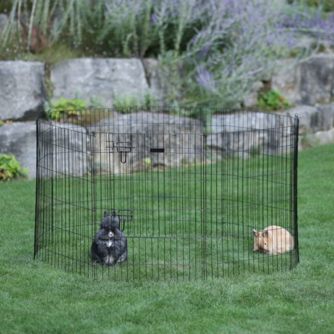 Āra būris trušiem un citiem mazajiem dzīvniekiem, 143 cm