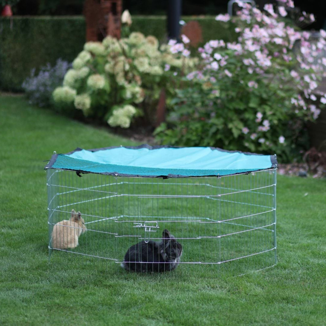 Āra būris trušiem 