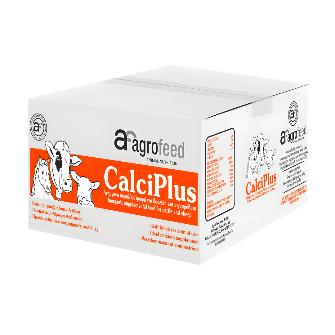 CalciPlus Block