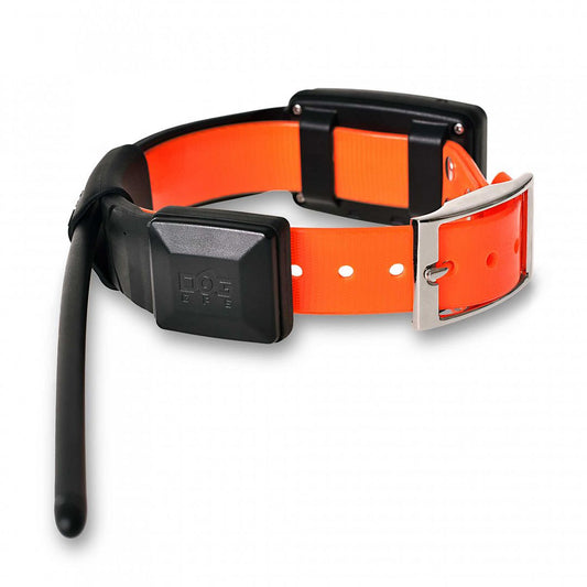 GPS collar for a dog - DOG GPS X20