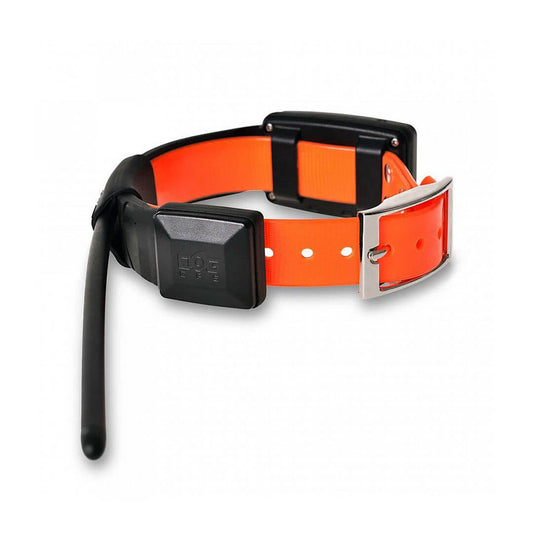 GPS collar for another dog DOG GPS X20 (Short version)