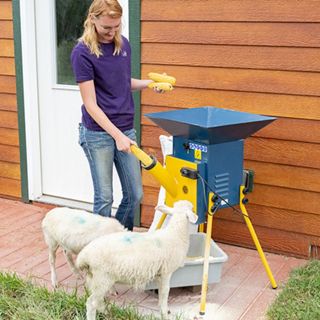 Graudu dzirnavas Novital Ercolino, 1500 W