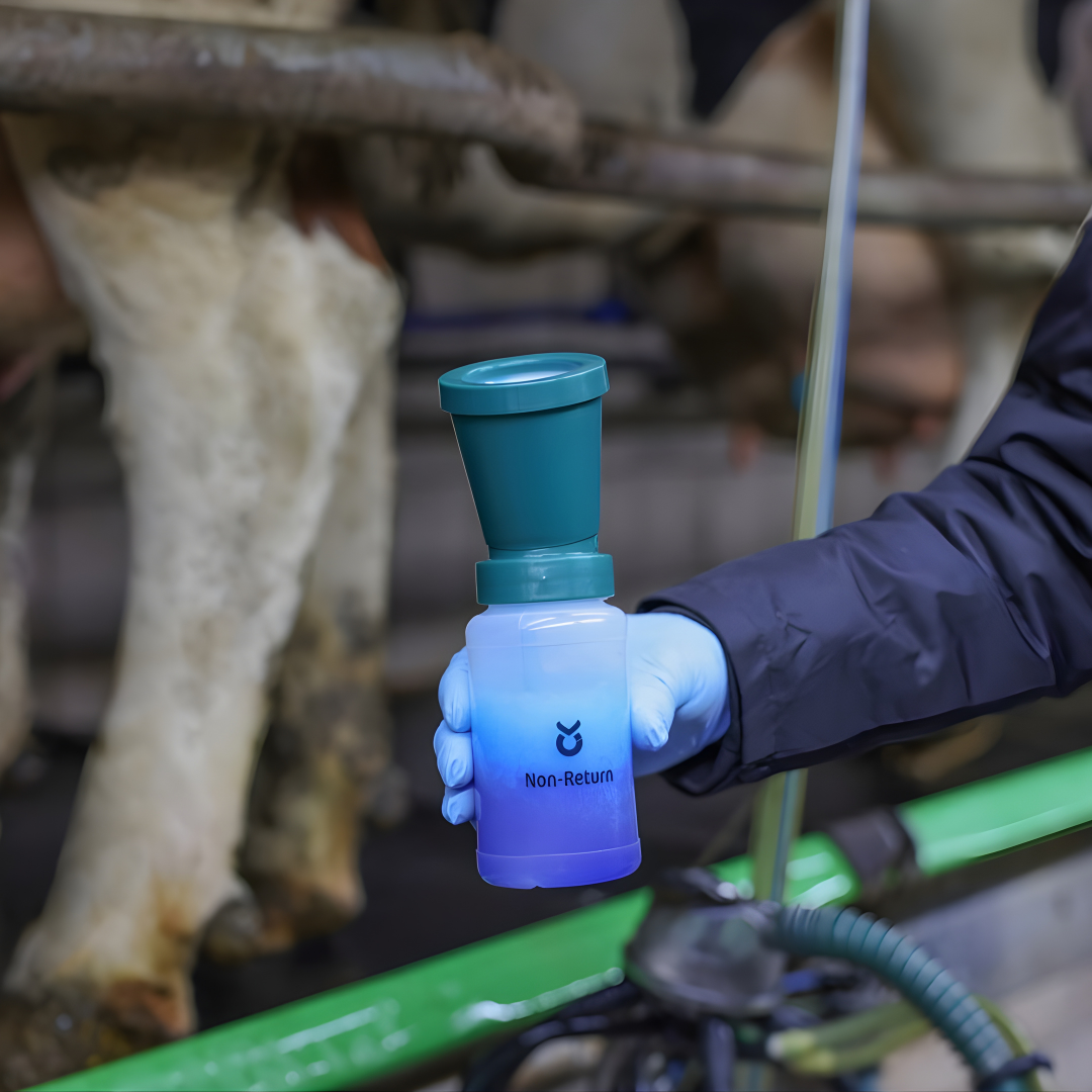 Dipēšanas trauks bez atplūdes 300 ml