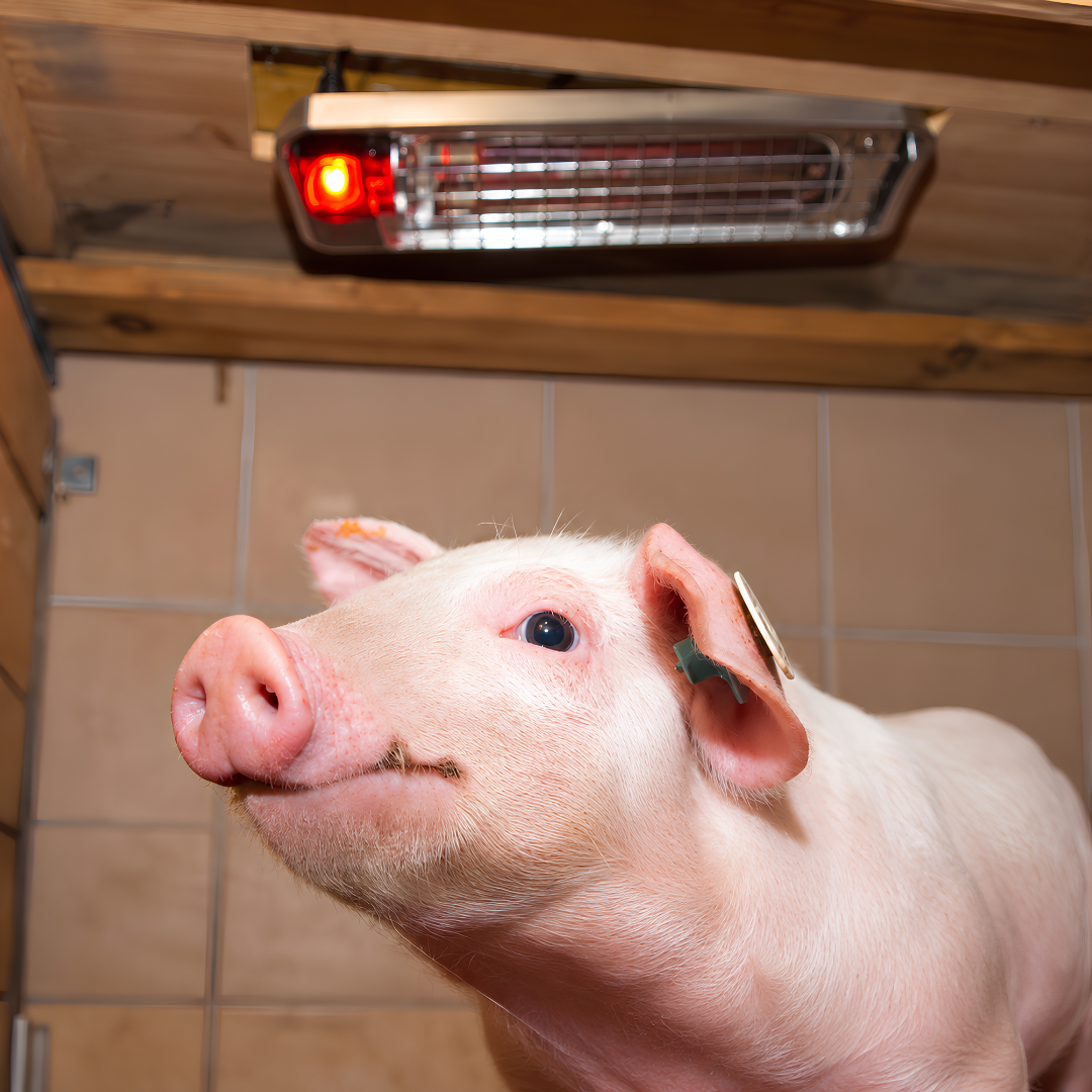 Infrasarkanais sildītājs SunnyBoy 150 W