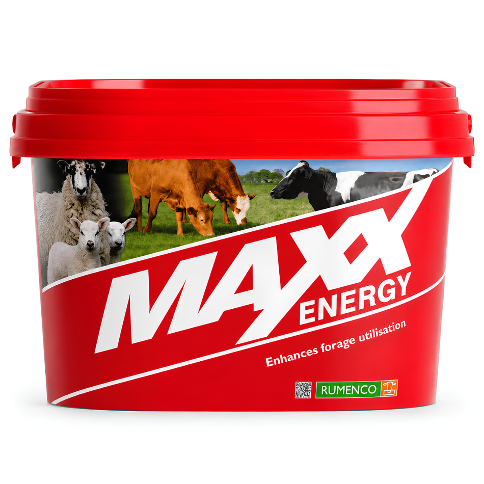 Laizāmā papildbarības bļoda liellopiem un aitām MAXX Energy 22.5 kg