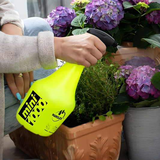 Smidzinātājs Marolex Mini