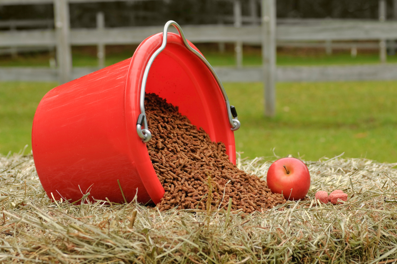 Barība un uztura bagātinātāji