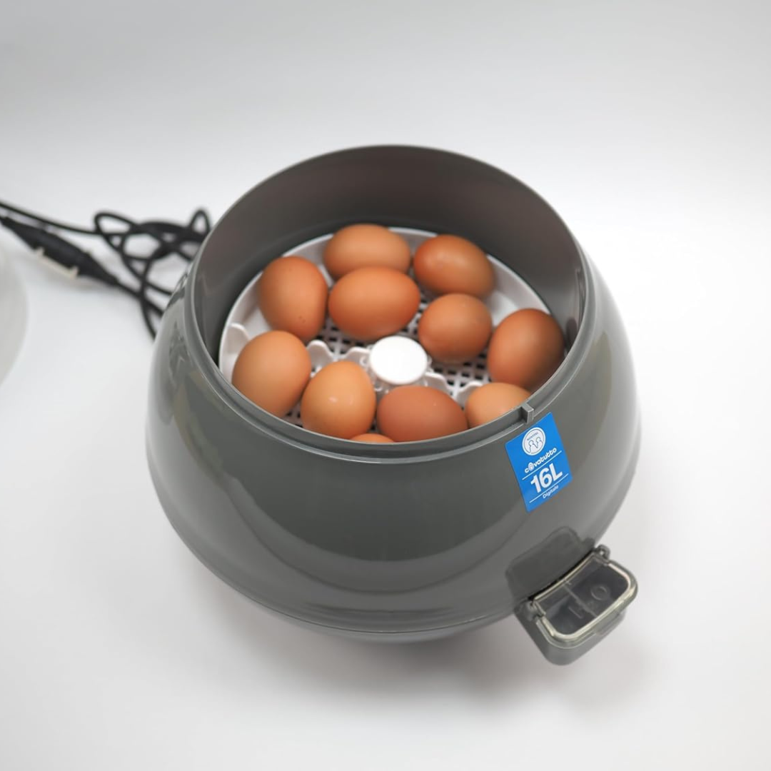 Olu inkubators Covatutto 16L FAN