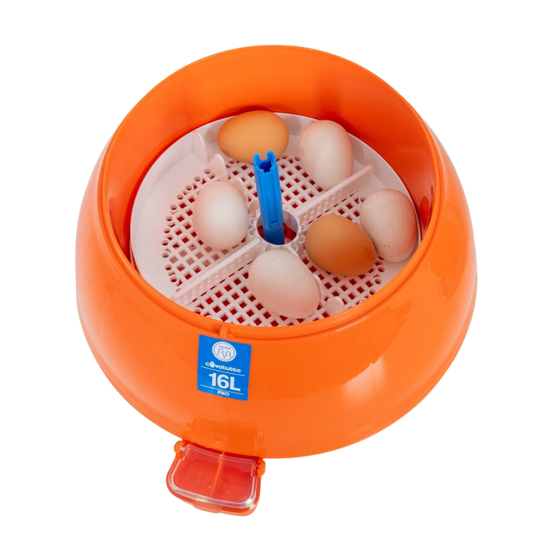 Olu inkubators Covatutto 16L PRO