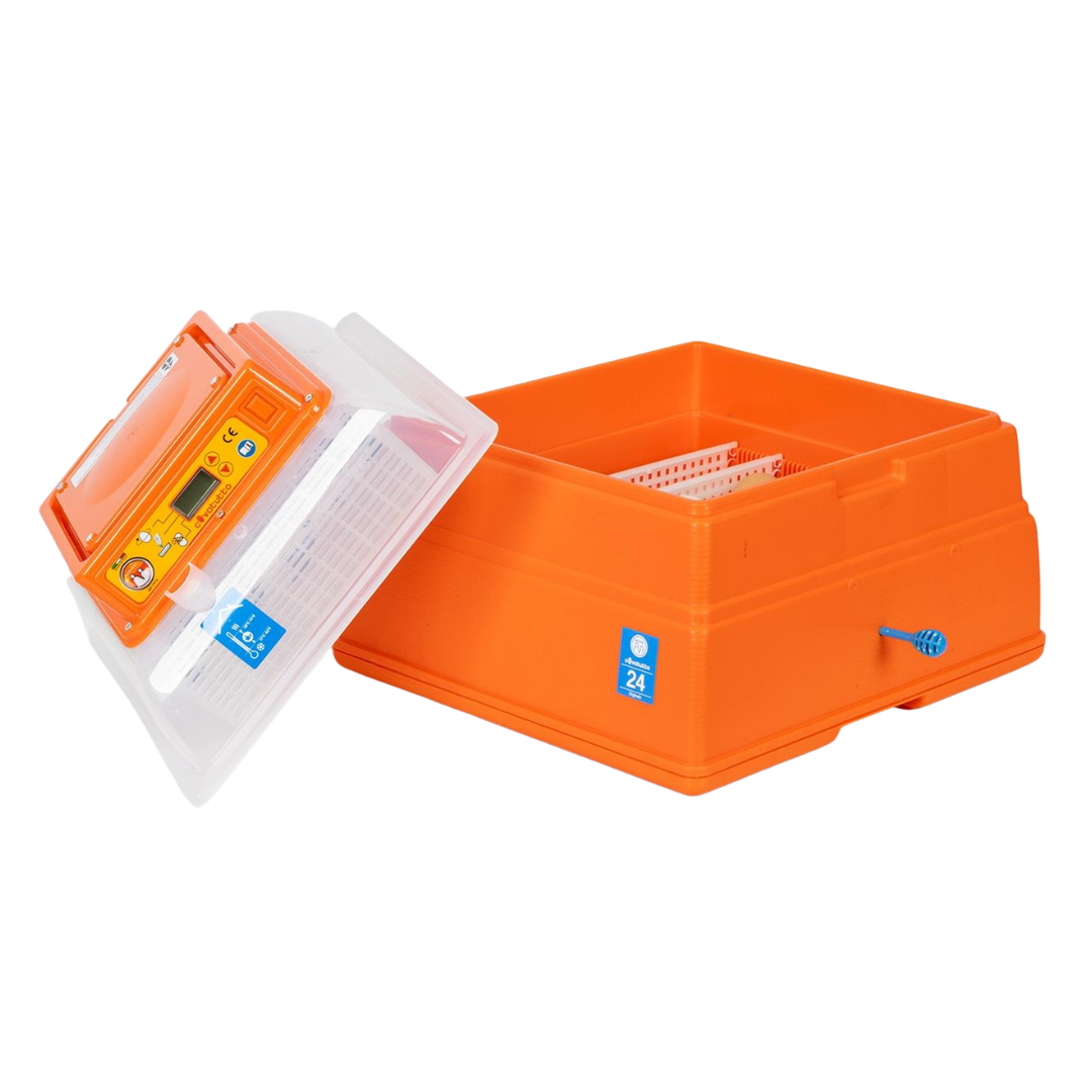 Olu inkubators Covatutto 24