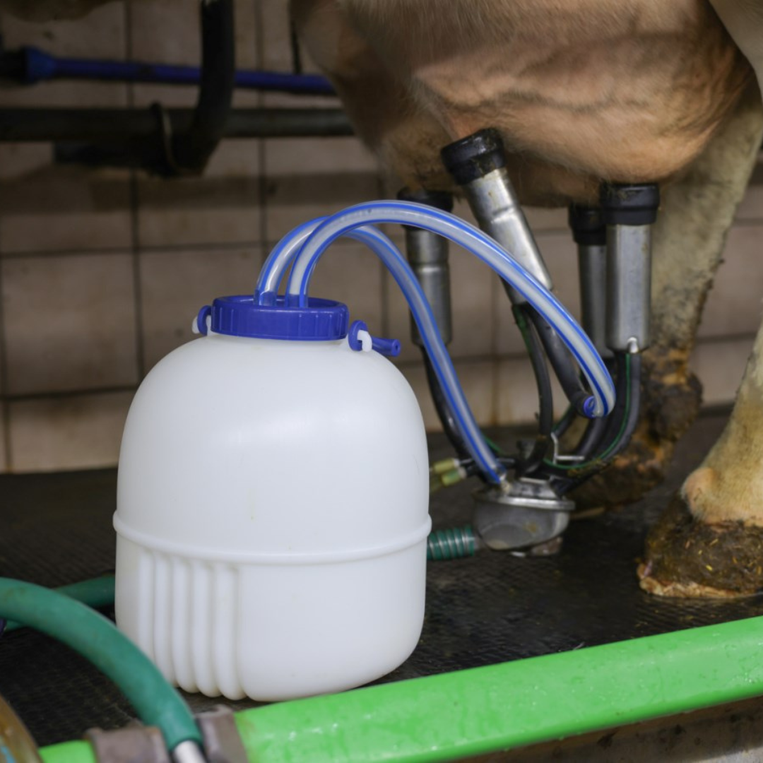 Piena separators ar rokturi 12 L