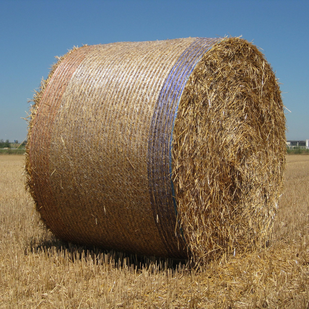 Ruļļu ietinamais tīkls 1.23 x 3000 m, Starnet