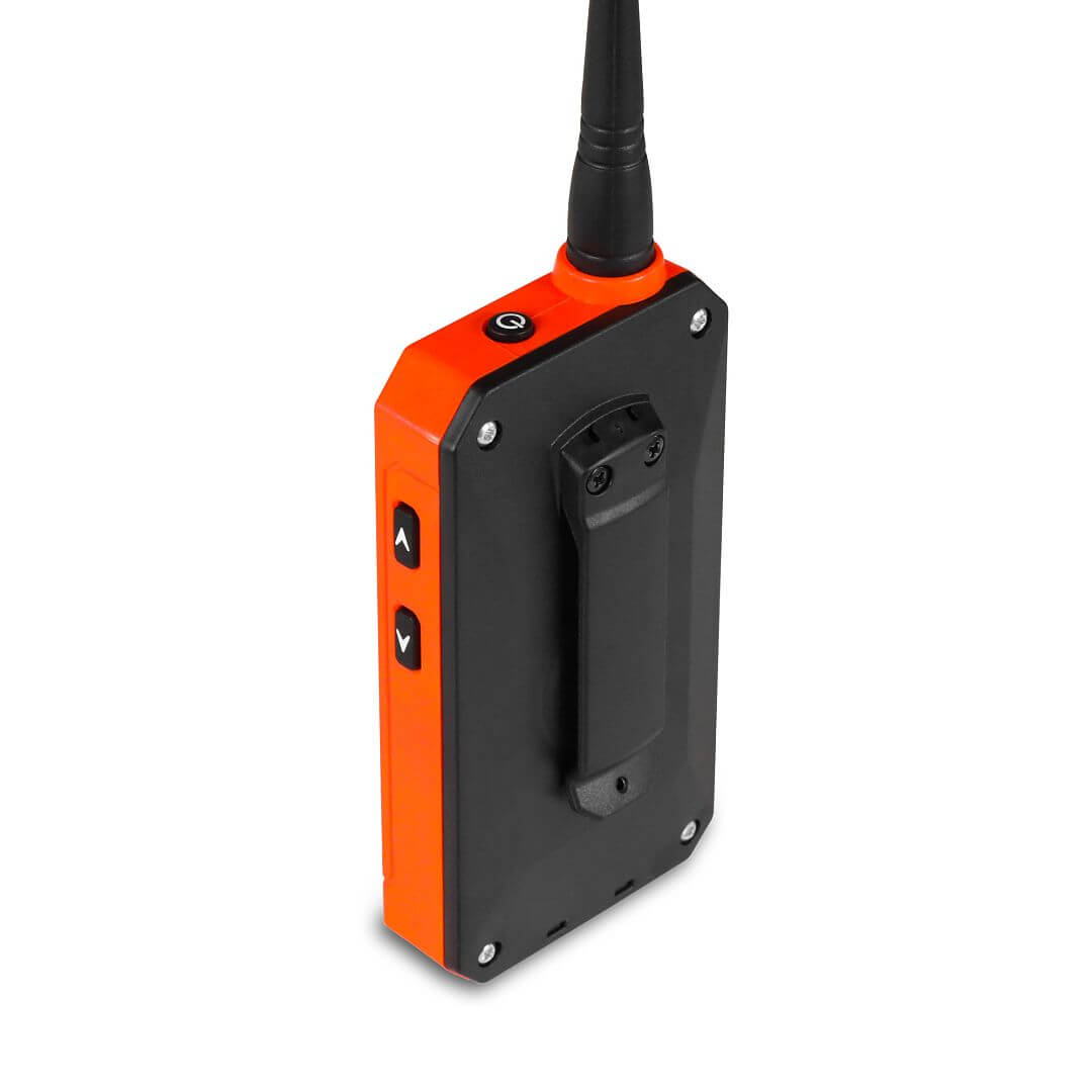 Система слежения с электронным ошейником DOG GPS X25B (Короткая версия)