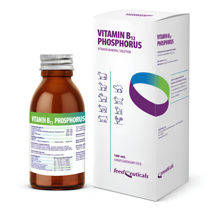 B12 vitamīna un fosfora šķīdums dzīvniekiem 100 ml