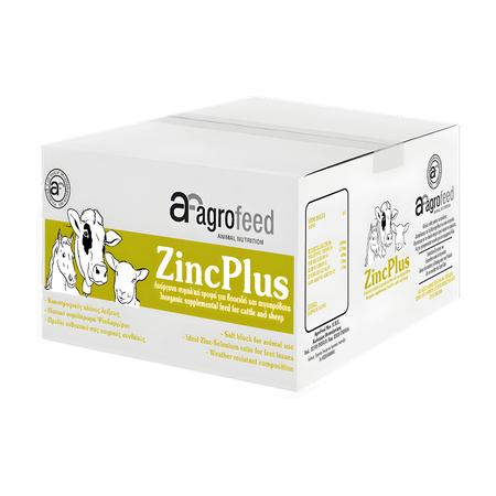 Zinc Plus Block
