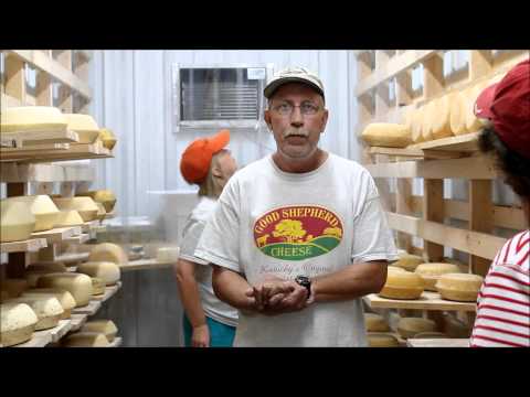 Piena-atslaucejs-aitam-Udderly-EZ