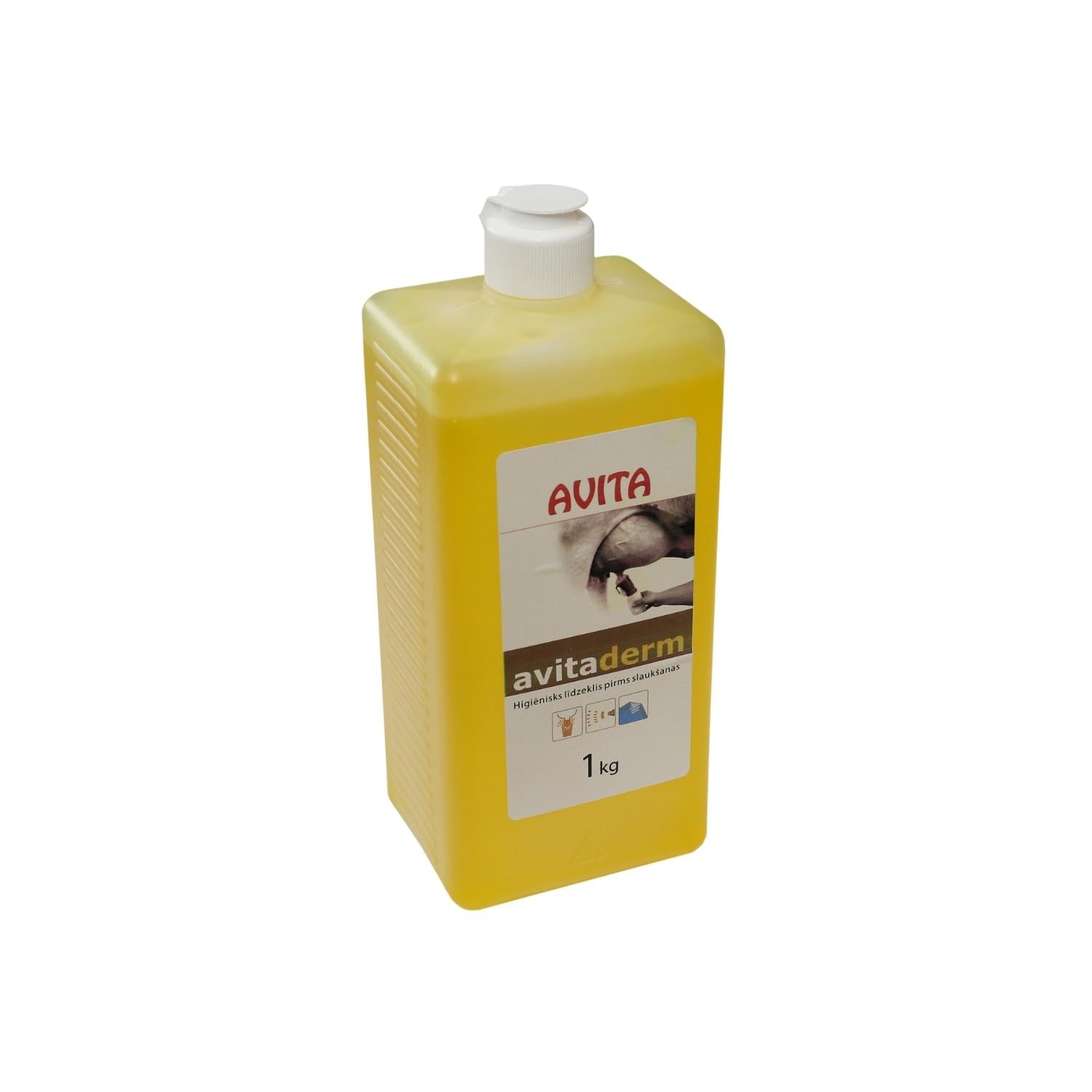 Avita Foam concentrate, hygienic product 1 kg